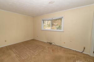29240035