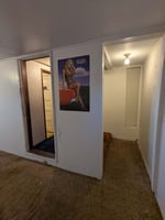 29241532