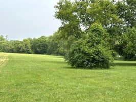 29484900