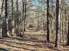 29242314