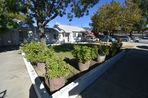 29242524