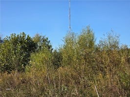 29244099