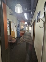 29395686