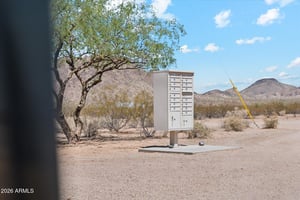 29249628