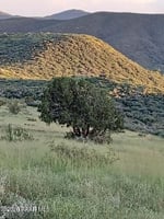 29249527