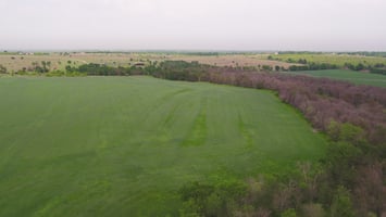 29256949