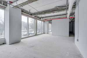29258807