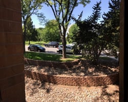 29259546