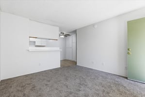 29262542