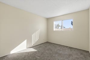 29262550
