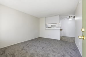 29262541