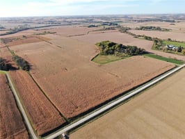 29264045