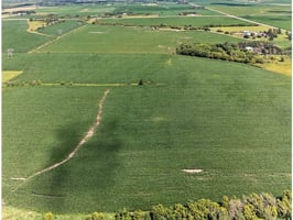 29264036