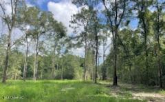29264064