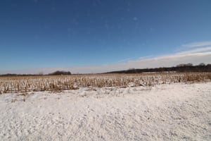 29274159