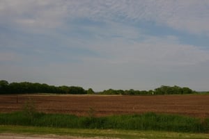 29274155