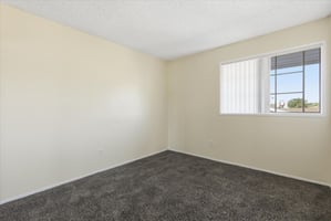 29280466