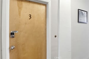 29456242