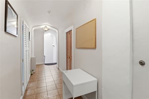 29456244