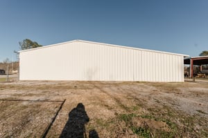 29344606