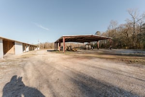 29344603