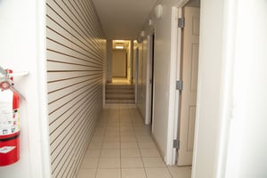 29288847