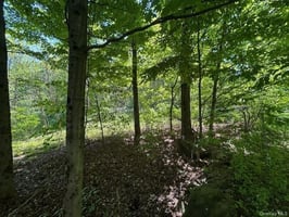 32769464