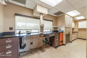 29290541