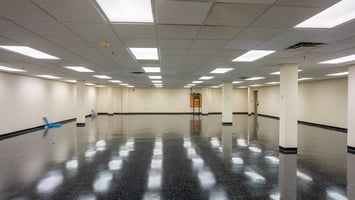 29294691