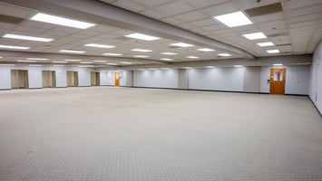 29294698