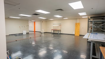 29294694