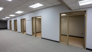 29294697