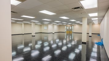 29294692