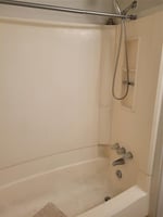 29295445