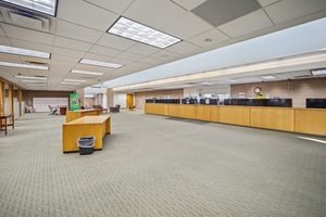 34022368