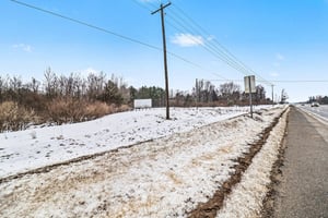 29299338