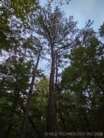 29300752