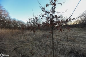29301571