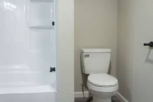 29302686