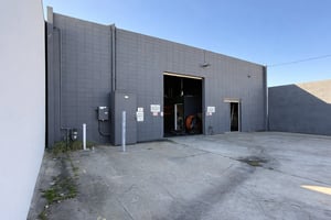 29313007