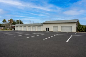 29313398