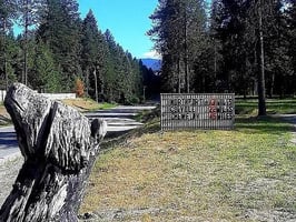 29313639