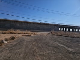 29537169