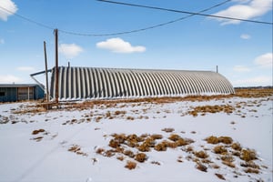 29501090