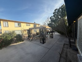 29550838