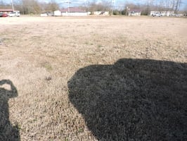 29315552
