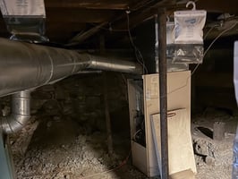 29317369