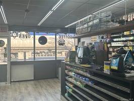 29317665