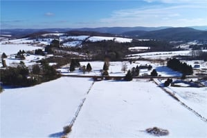 29437568