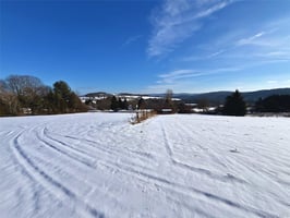 29317803